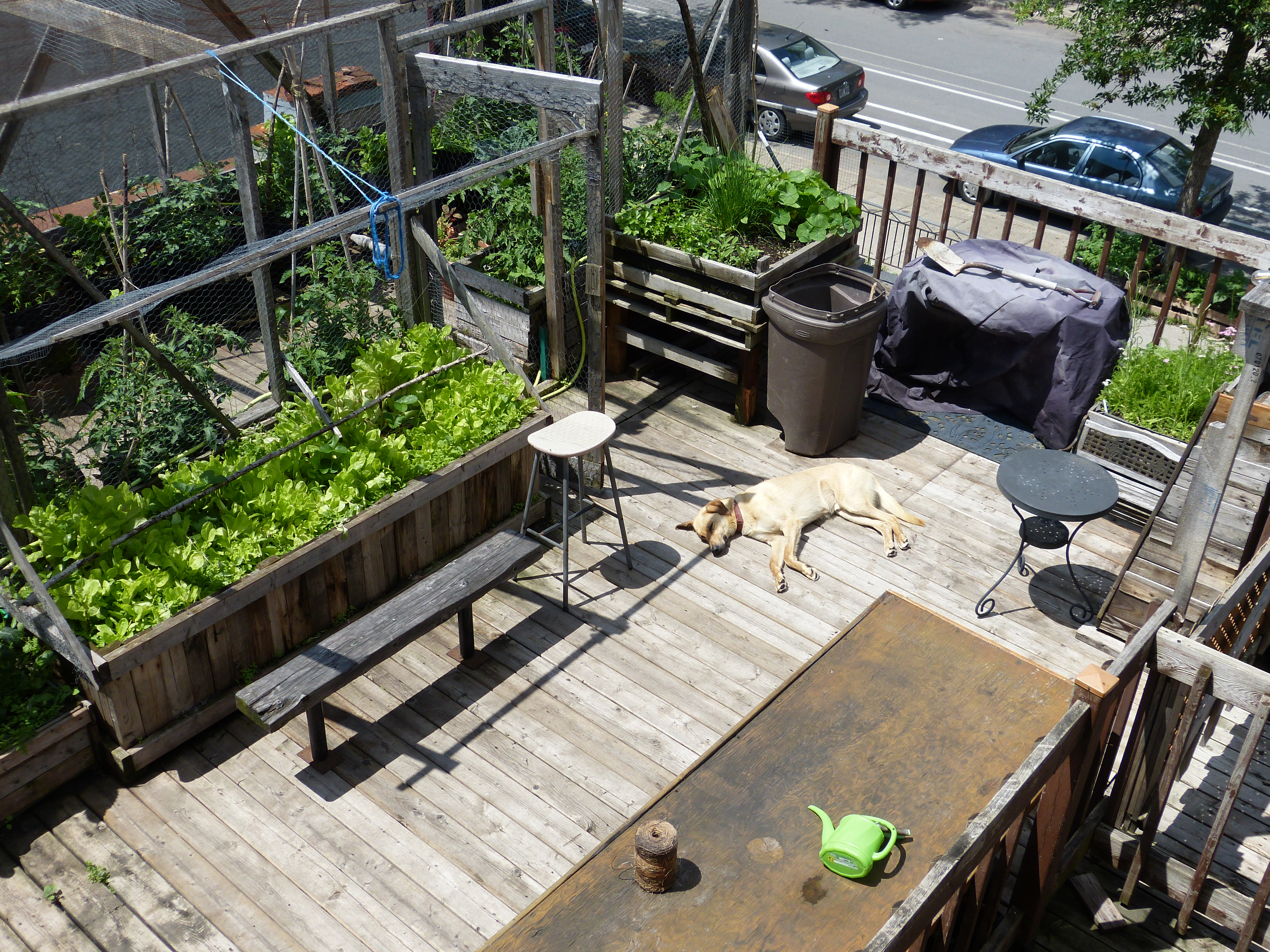 Bannière Racines Urbaines